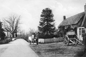 Picture of Berks - Finchampstead, The Village c1908 - N4617